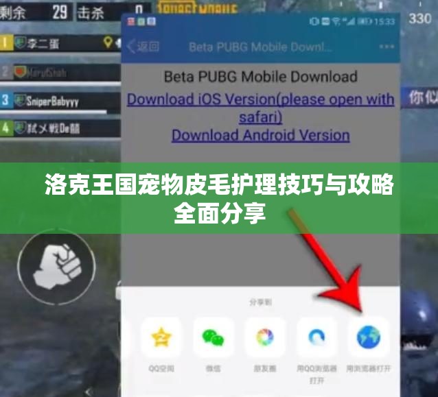 洛克王国宠物皮毛护理技巧与攻略全面分享