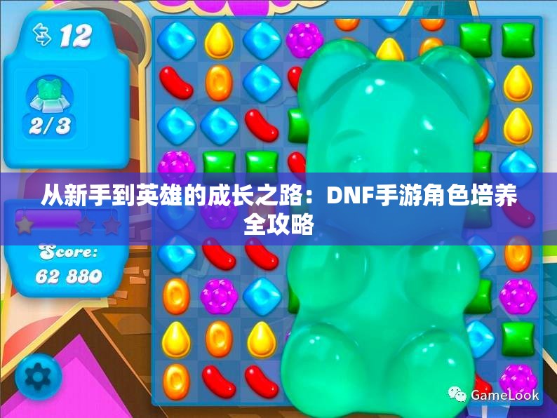 从新手到英雄的成长之路：DNF手游角色培养全攻略