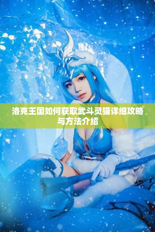 洛克王国如何获取武斗灵猫详细攻略与方法介绍