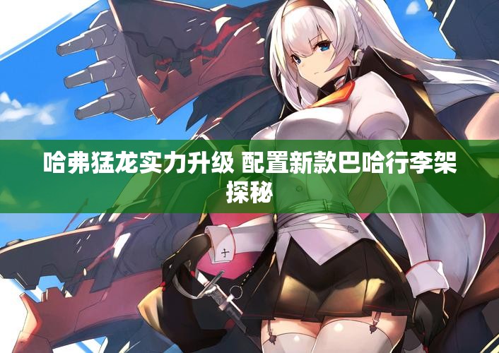 哈弗猛龙实力升级 配置新款巴哈行李架探秘