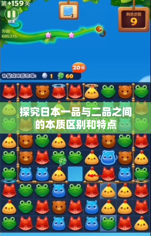探究日本一品与二品之间的本质区别和特点