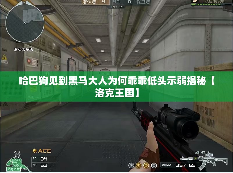 哈巴狗见到黑马大人为何乖乖低头示弱揭秘【洛克王国】