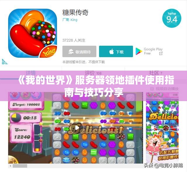 《我的世界》服务器领地插件使用指南与技巧分享
