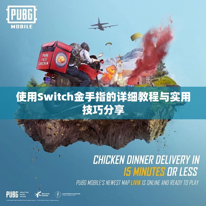 使用Switch金手指的详细教程与实用技巧分享