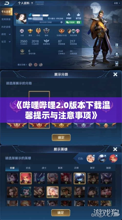 《哔哩哔哩2.0版本下载温馨提示与注意事项》