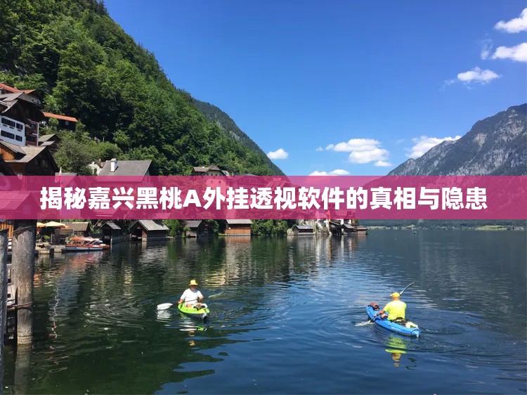 揭秘嘉兴黑桃A外挂透视软件的真相与隐患