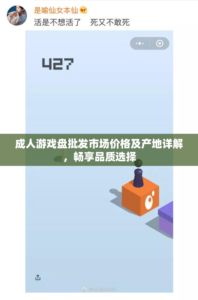 成人游戏盘批发市场价格及产地详解，畅享品质选择