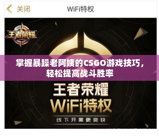 掌握暴躁老阿姨的CSGO游戏技巧，轻松提高战斗胜率
