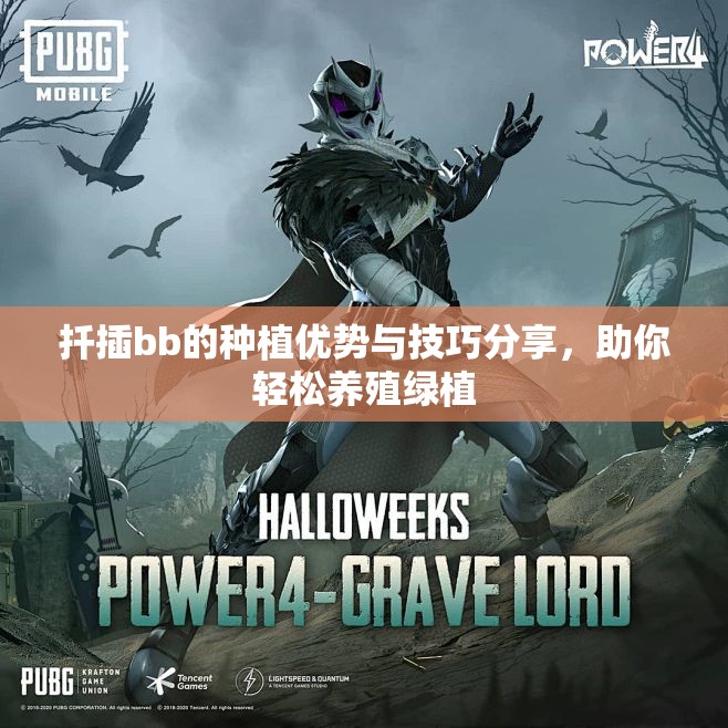 扦插bb的种植优势与技巧分享，助你轻松养殖绿植
