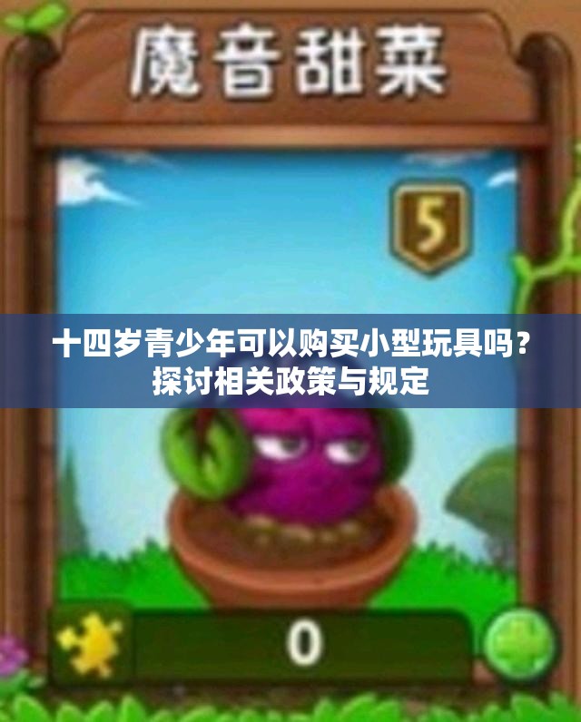 十四岁青少年可以购买小型玩具吗？探讨相关政策与规定