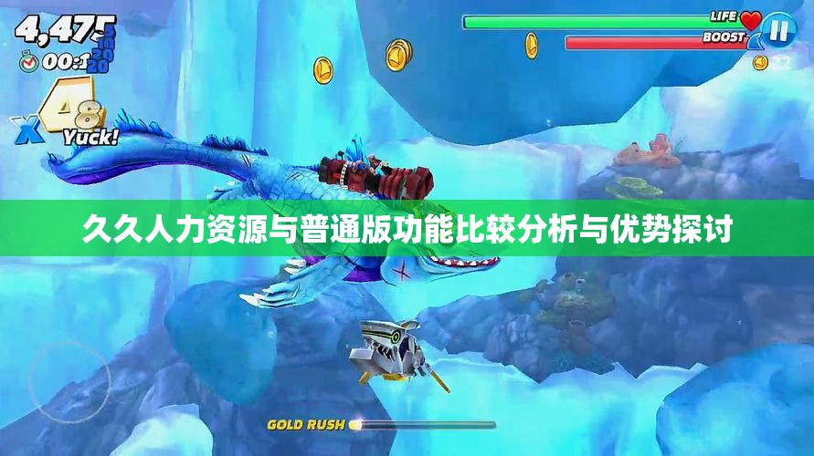 久久人力资源与普通版功能比较分析与优势探讨