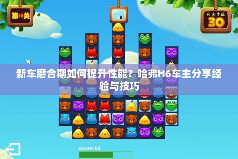 新车磨合期如何提升性能？哈弗H6车主分享经验与技巧