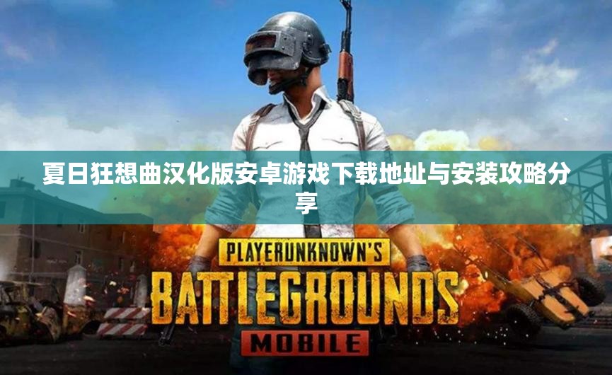 夏日狂想曲汉化版安卓游戏下载地址与安装攻略分享