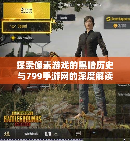 探索像素游戏的黑暗历史与799手游网的深度解读