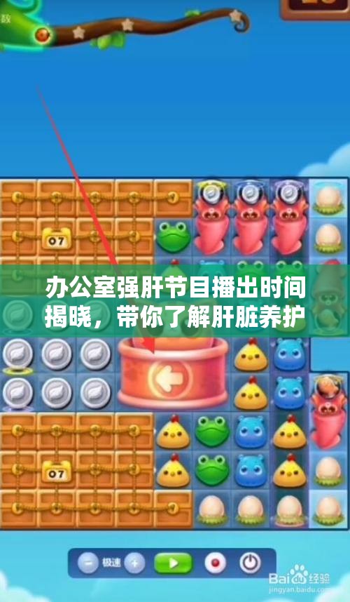 办公室强肝节目播出时间揭晓，带你了解肝脏养护秘诀