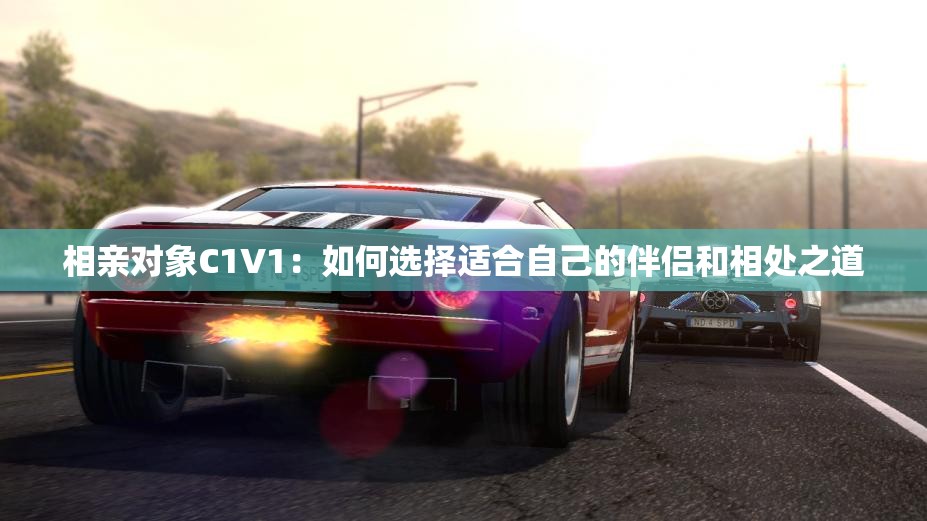 相亲对象C1V1：如何选择适合自己的伴侣和相处之道