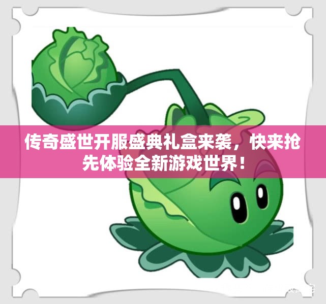 传奇盛世开服盛典礼盒来袭，快来抢先体验全新游戏世界！