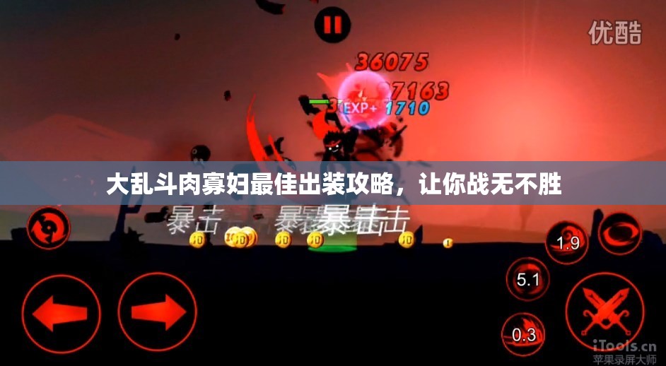 大乱斗肉寡妇最佳出装攻略，让你战无不胜