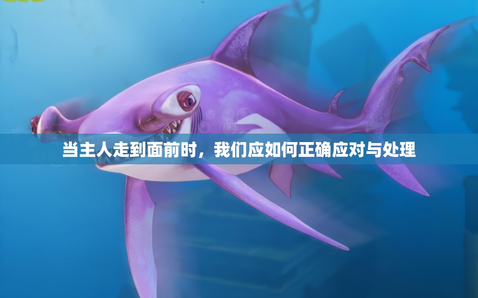 当主人走到面前时，我们应如何正确应对与处理