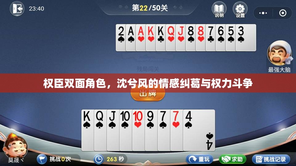 权臣双面角色，沈兮风的情感纠葛与权力斗争