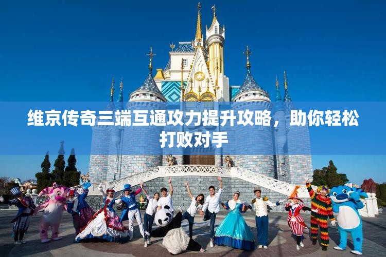 维京传奇三端互通攻力提升攻略，助你轻松打败对手