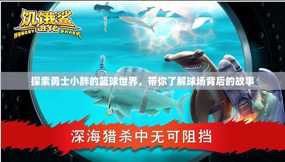 探索勇士小胖的篮球世界，带你了解球场背后的故事