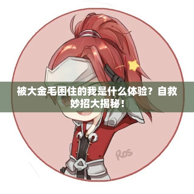 被大金毛困住的我是什么体验？自救妙招大揭秘！