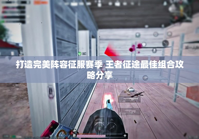 打造完美阵容征服赛季 王者征途最佳组合攻略分享