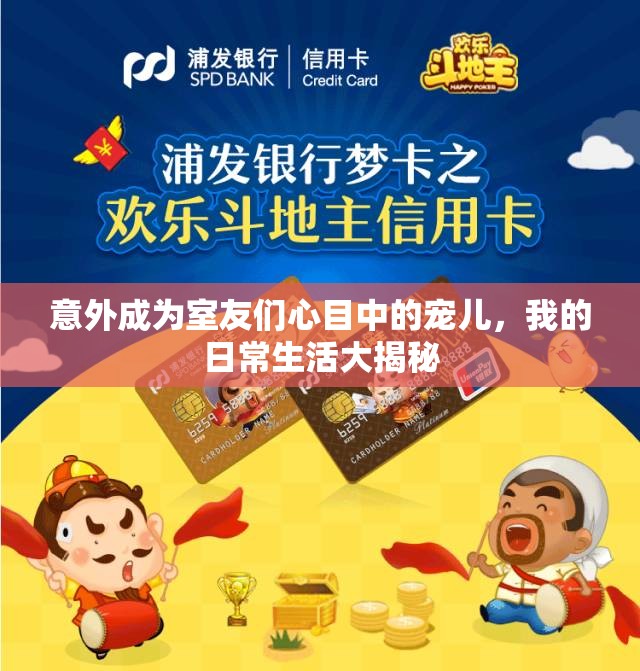 意外成为室友们心目中的宠儿，我的日常生活大揭秘