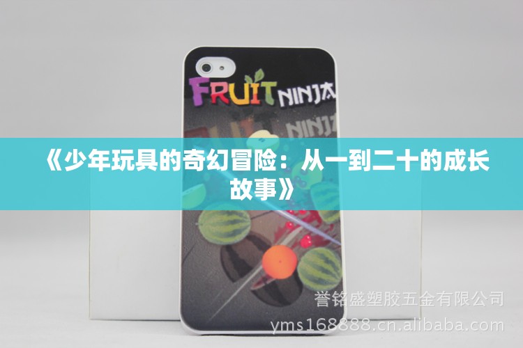 《少年玩具的奇幻冒险：从一到二十的成长故事》