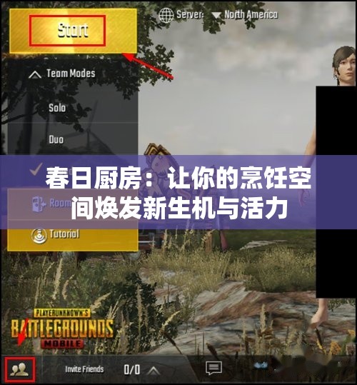 春日厨房：让你的烹饪空间焕发新生机与活力
