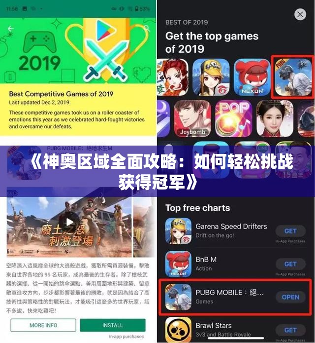 《神奥区域全面攻略：如何轻松挑战获得冠军》