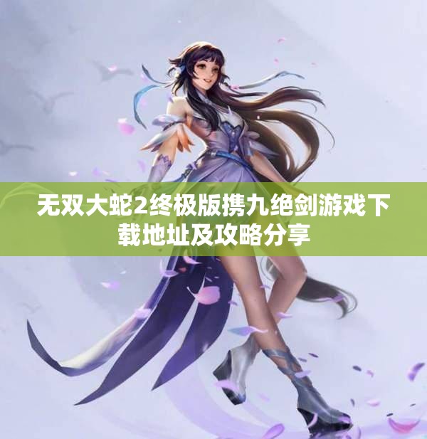 无双大蛇2终极版携九绝剑游戏下载地址及攻略分享