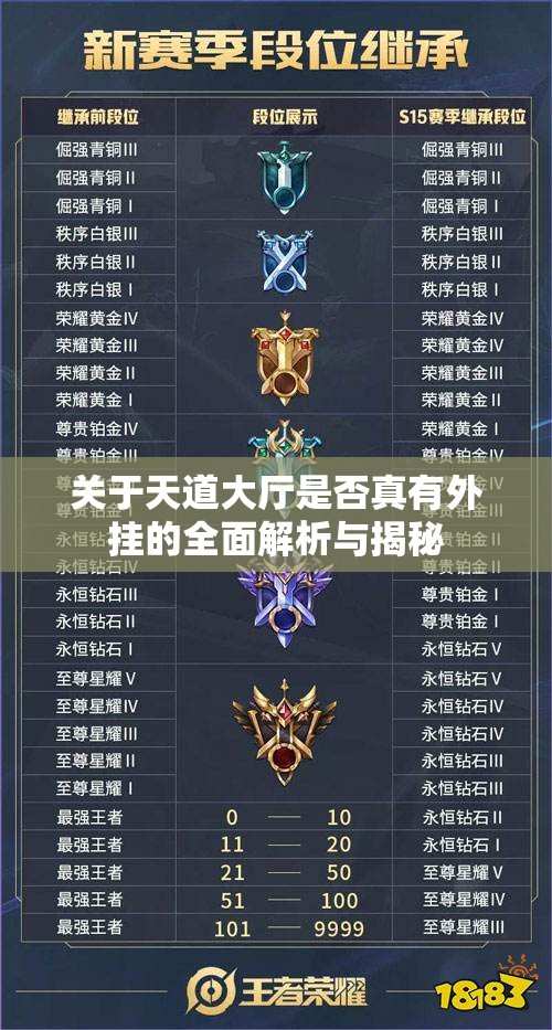 关于天道大厅是否真有外挂的全面解析与揭秘