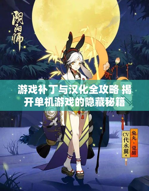 游戏补丁与汉化全攻略 揭开单机游戏的隐藏秘籍