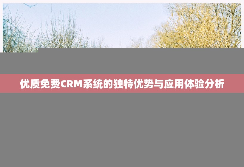 优质免费CRM系统的独特优势与应用体验分析