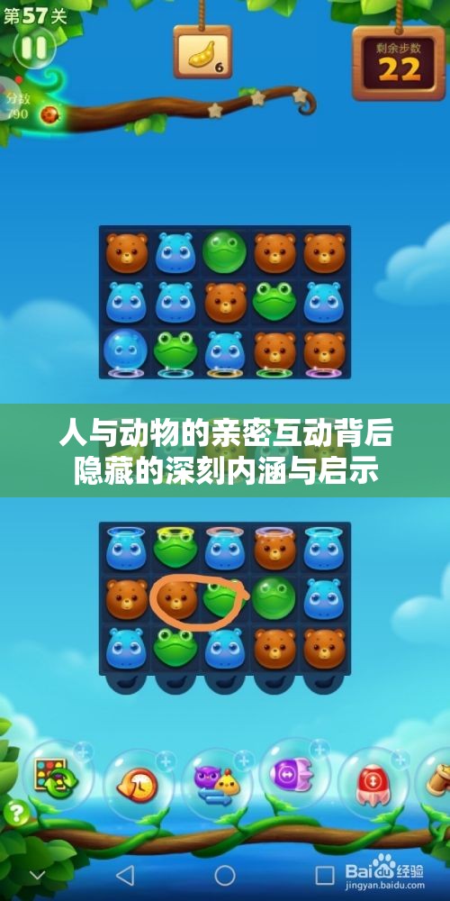 人与动物的亲密互动背后隐藏的深刻内涵与启示