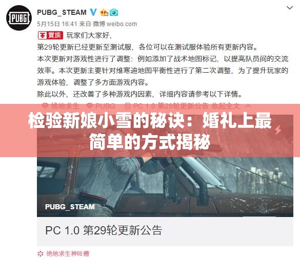 检验新娘小雪的秘诀：婚礼上最简单的方式揭秘