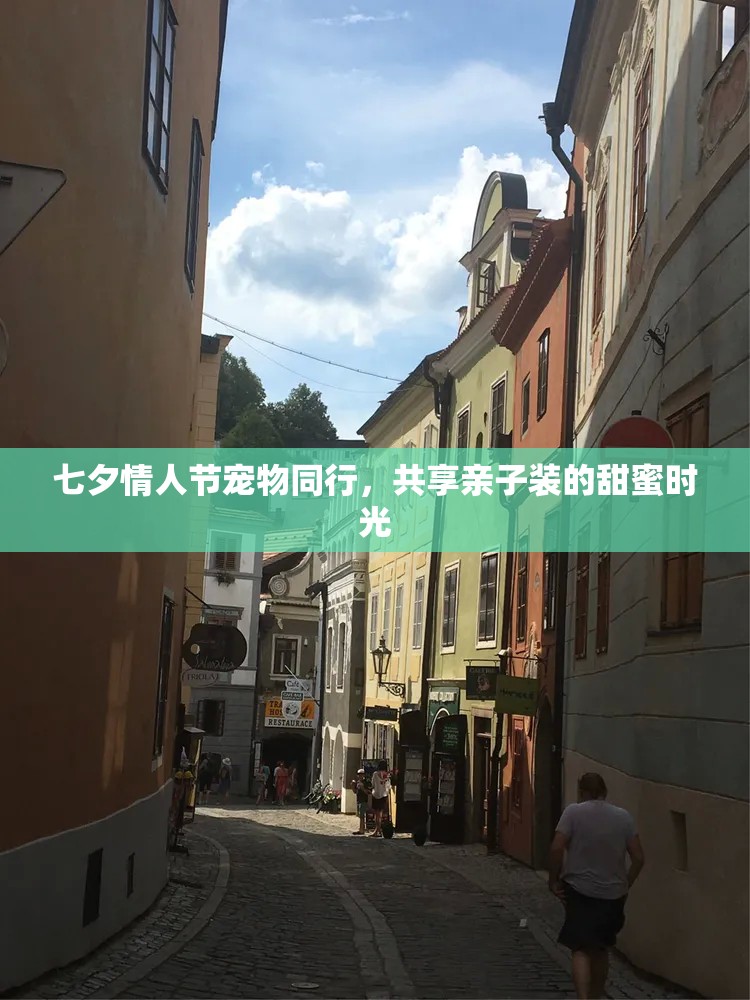 七夕情人节宠物同行，共享亲子装的甜蜜时光