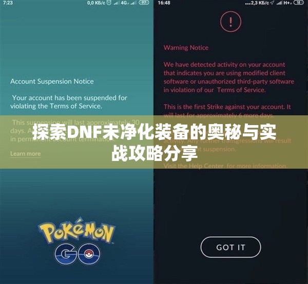 探索DNF未净化装备的奥秘与实战攻略分享