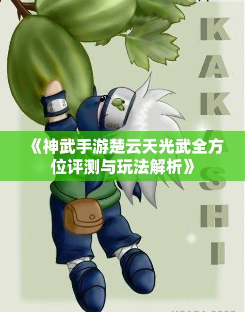《神武手游楚云天光武全方位评测与玩法解析》