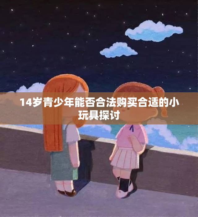 14岁青少年能否合法购买合适的小玩具探讨