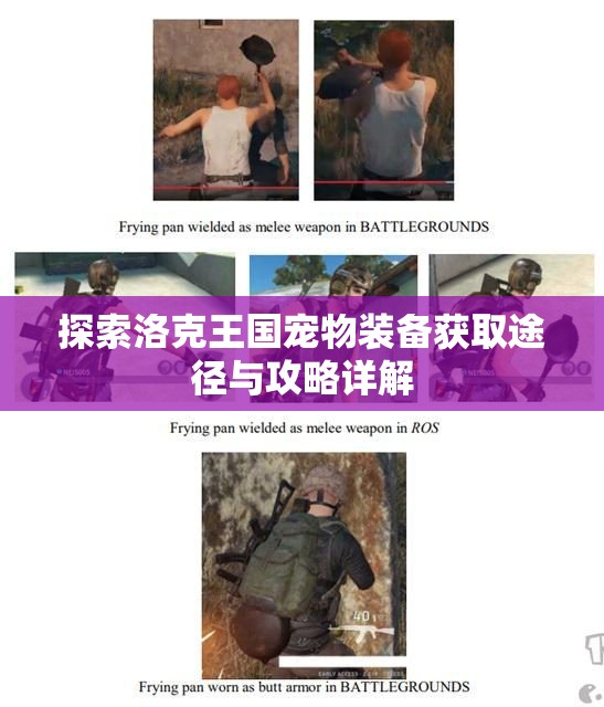 探索洛克王国宠物装备获取途径与攻略详解