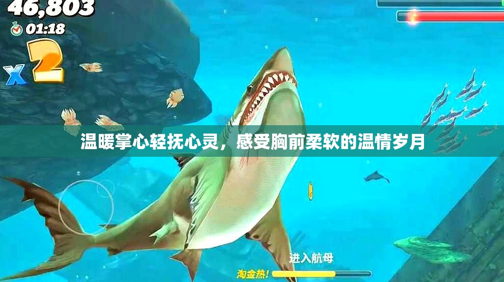 温暖掌心轻抚心灵，感受胸前柔软的温情岁月