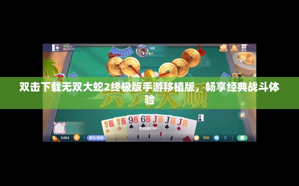 双击下载无双大蛇2终极版手游移植版，畅享经典战斗体验