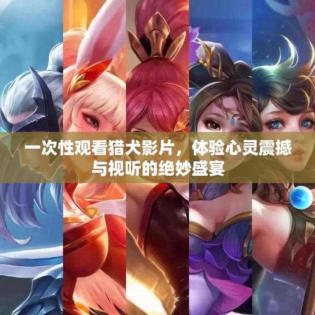 一次性观看猎犬影片，体验心灵震撼与视听的绝妙盛宴