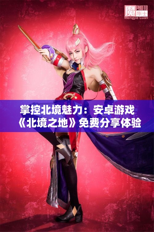 掌控北境魅力：安卓游戏《北境之地》免费分享体验攻略