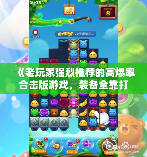 《老玩家强烈推荐的高爆率合击版游戏，装备全靠打，不容错过！》