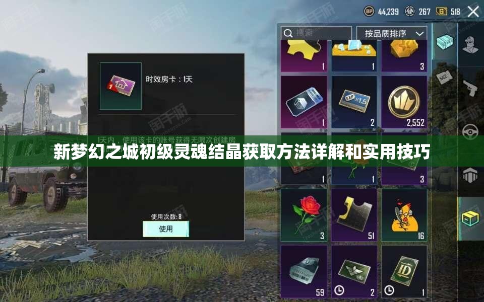新梦幻之城初级灵魂结晶获取方法详解和实用技巧
