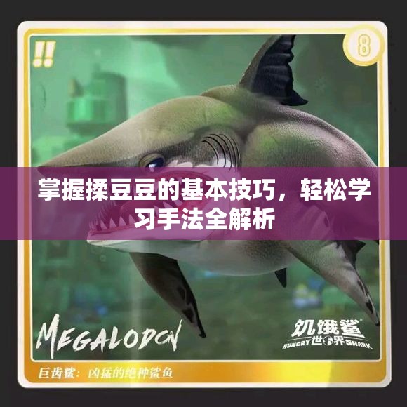 掌握揉豆豆的基本技巧，轻松学习手法全解析